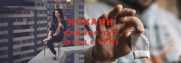 молекула духа Алексин