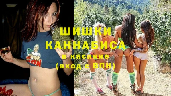 молекула духа Алексин