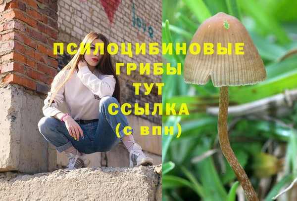 стаф Алексеевка