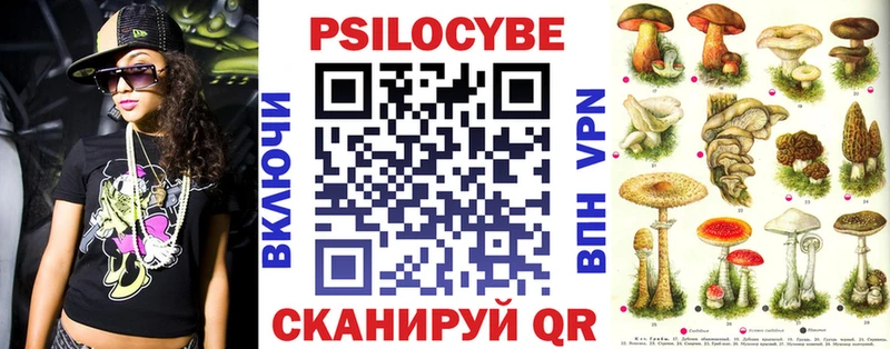 Галлюциногенные грибы мицелий  Пласт 
