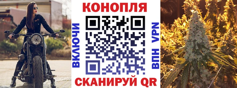 Шишки марихуана AK-47  МЕГА вход  Пласт  как найти закладки 